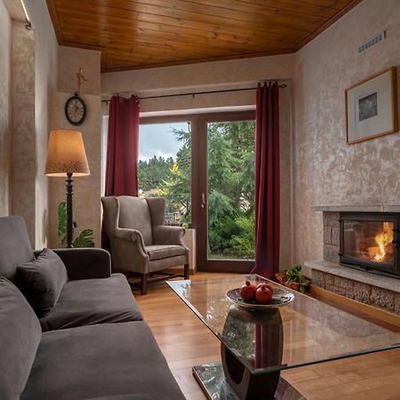 Vip Chalet 4 Seasons Arachova Exterior photo