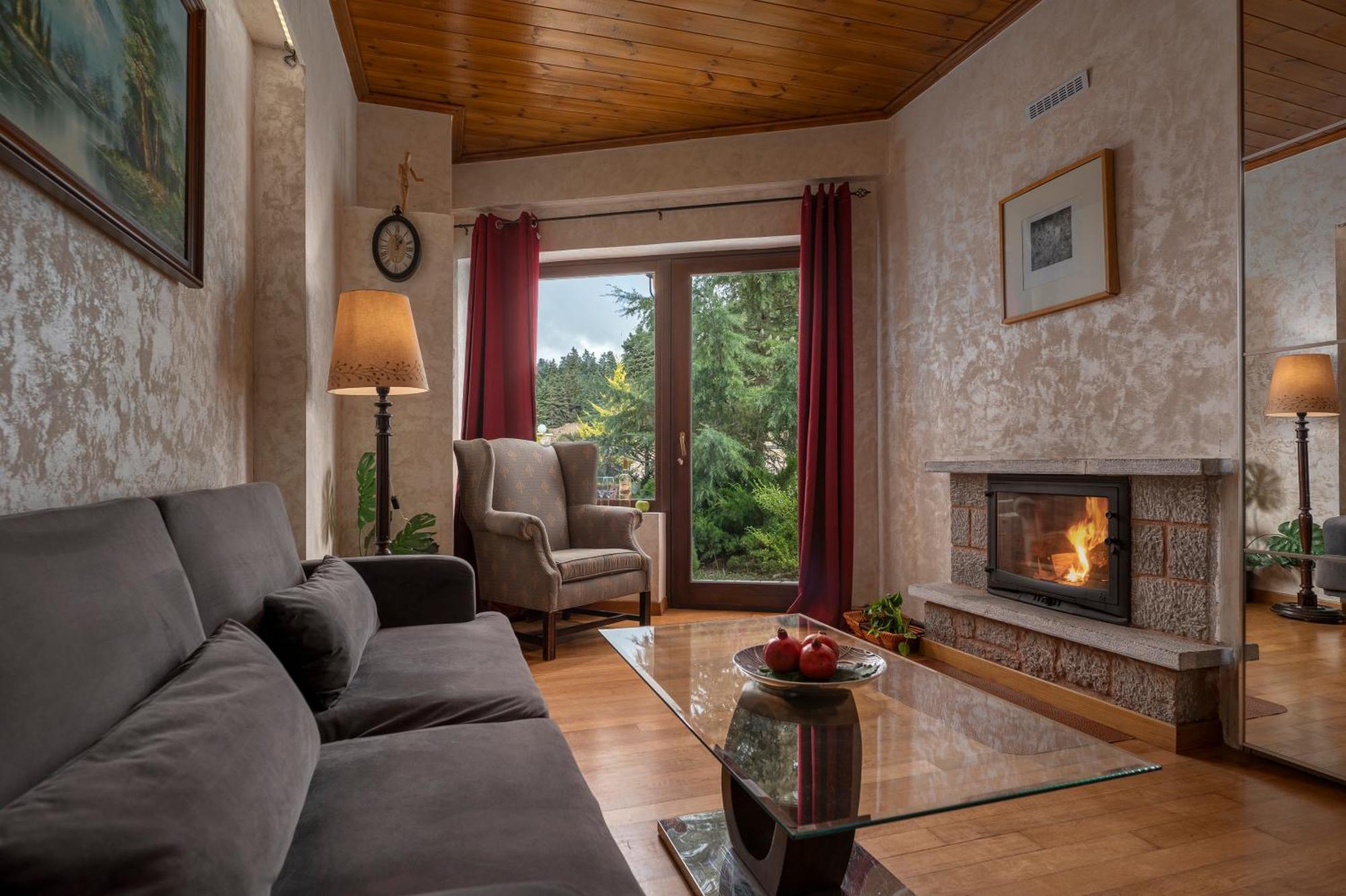 Vip Chalet 4 Seasons Arachova Exterior photo