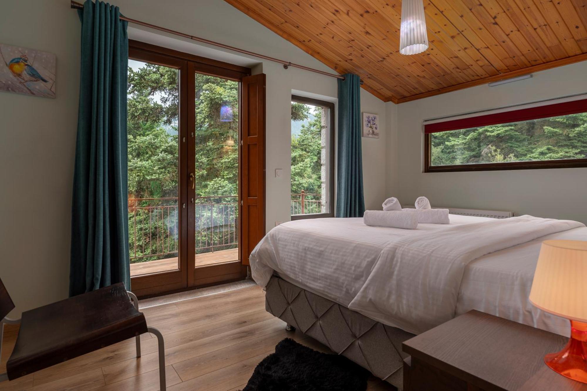 Vip Chalet 4 Seasons Arachova Exterior photo