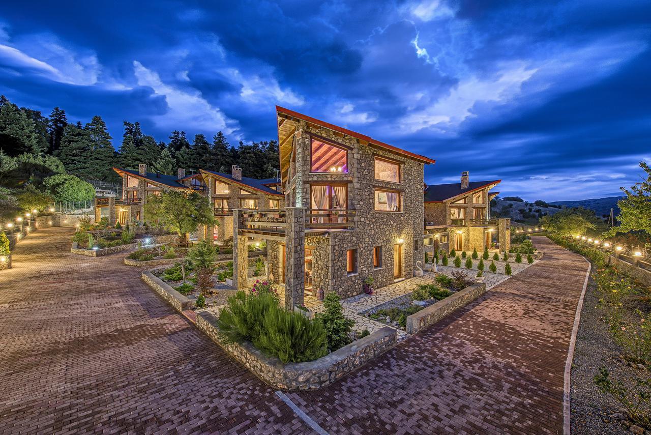 Vip Chalet 4 Seasons Arachova Exterior photo