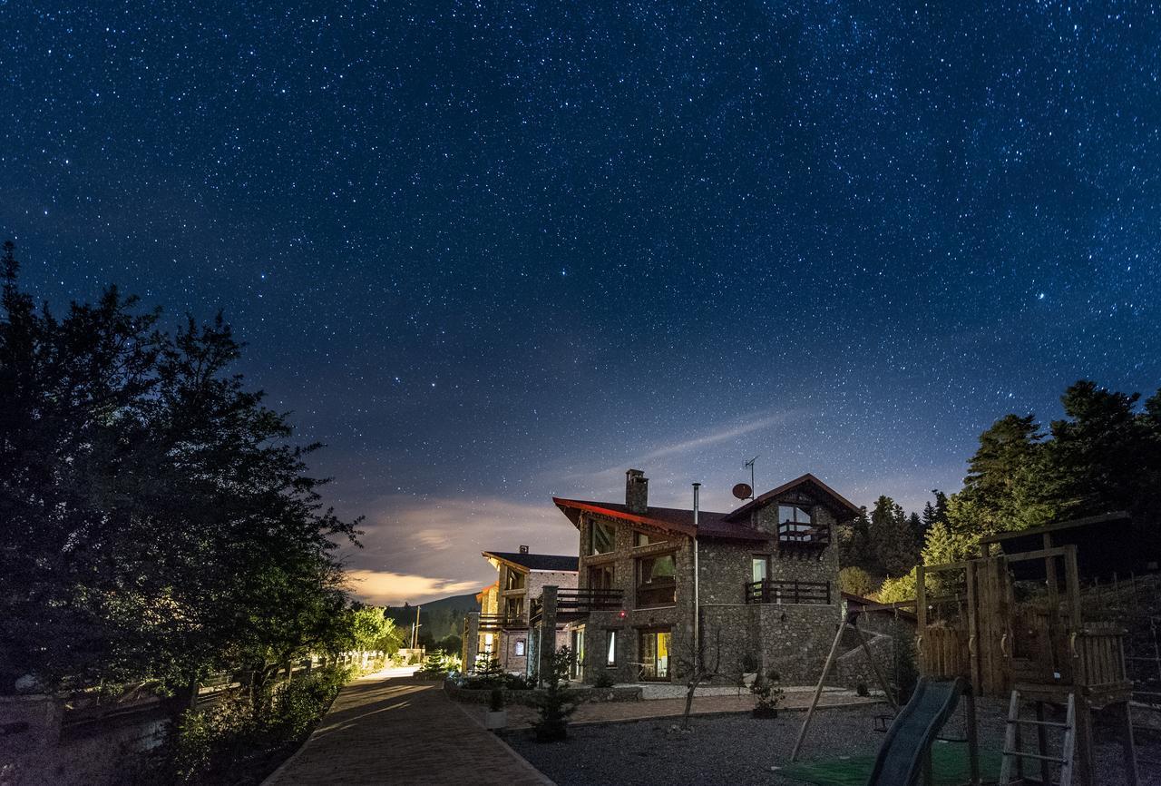 Vip Chalet 4 Seasons Arachova Exterior photo